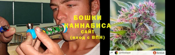 молекула духа Каменка