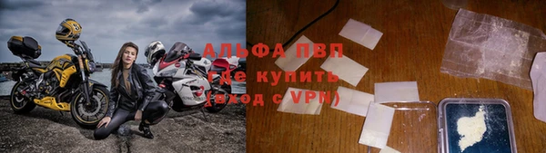 молекула духа Каменка