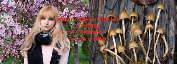 мефедрон Каменск-Шахтинский