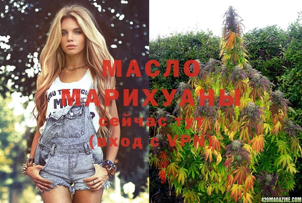 молекула духа Каменка